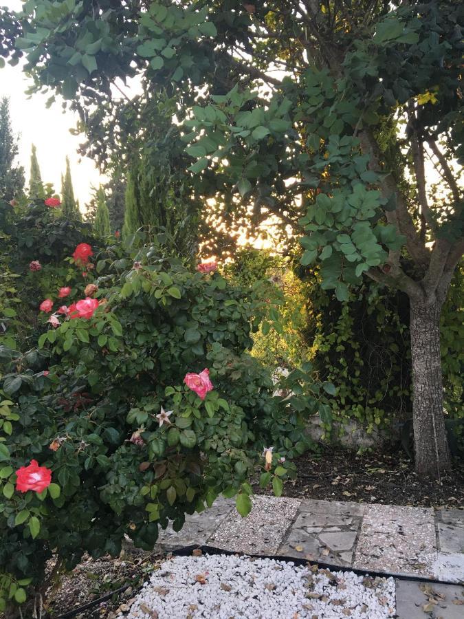 Demelida Villa In Tsada, Paphos Tsadha Luaran gambar