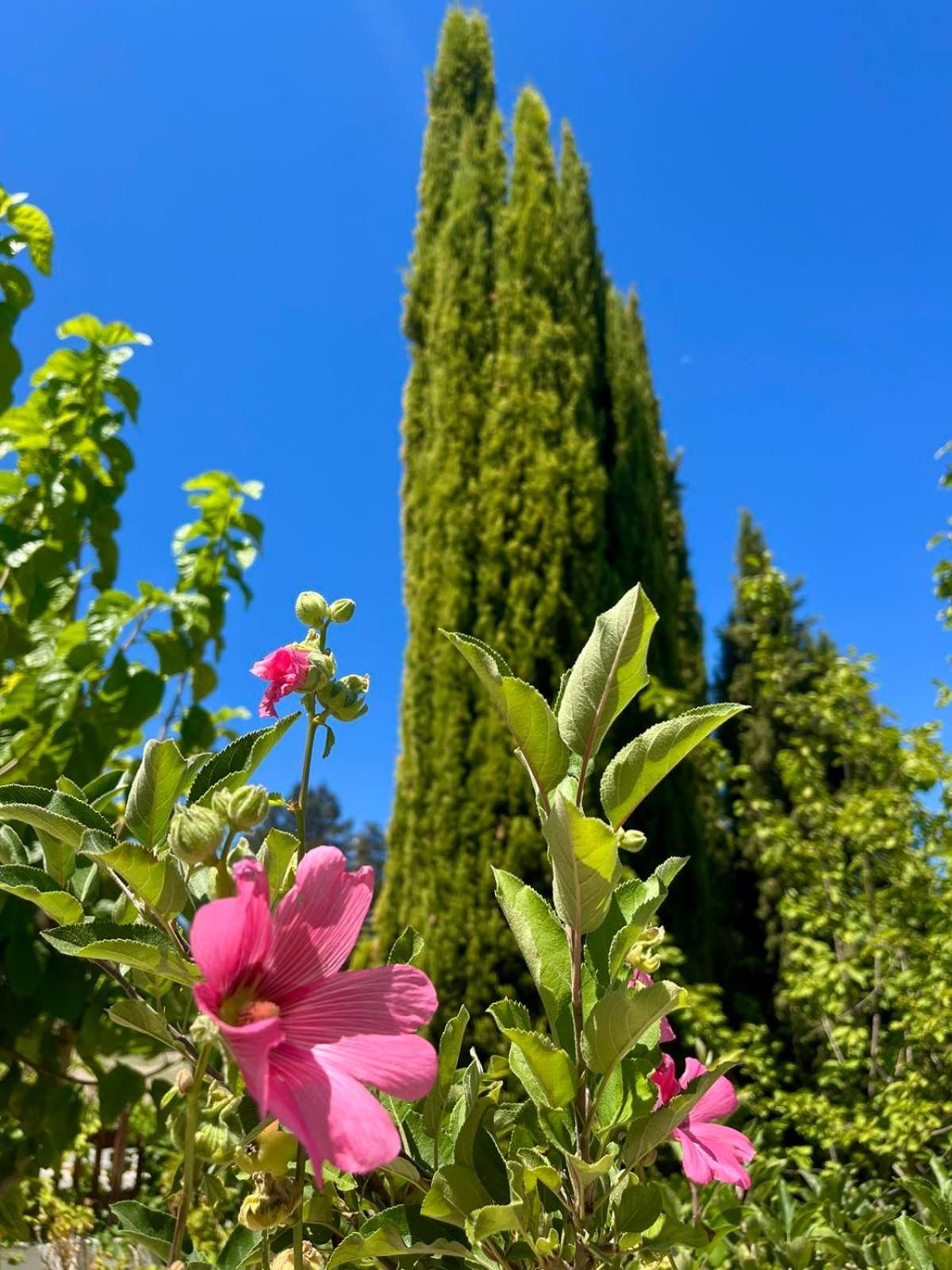Demelida Villa In Tsada, Paphos Tsadha Luaran gambar